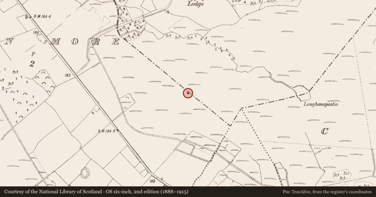 Ordnance Survey six-inch map, 2nd edition (1888–1915) covering the location of Road - class 3 togher, Derraghan More, Derryglogher, County Longford, with a pin at the register's coordinates