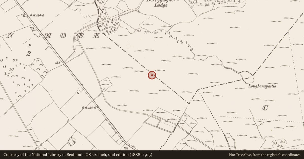 Ordnance Survey six-inch map, 2nd edition (1888–1915) covering the location of Road - class 3 togher, Derraghan More, Derryglogher, County Longford, with a pin at the register's coordinates