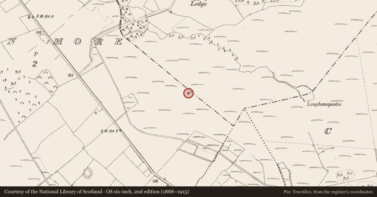 Ordnance Survey six-inch map, 2nd edition (1888–1915) covering the location of Structure - peatland, Derraghan More, Derryglogher, County Longford, with a pin at the register's coordinates