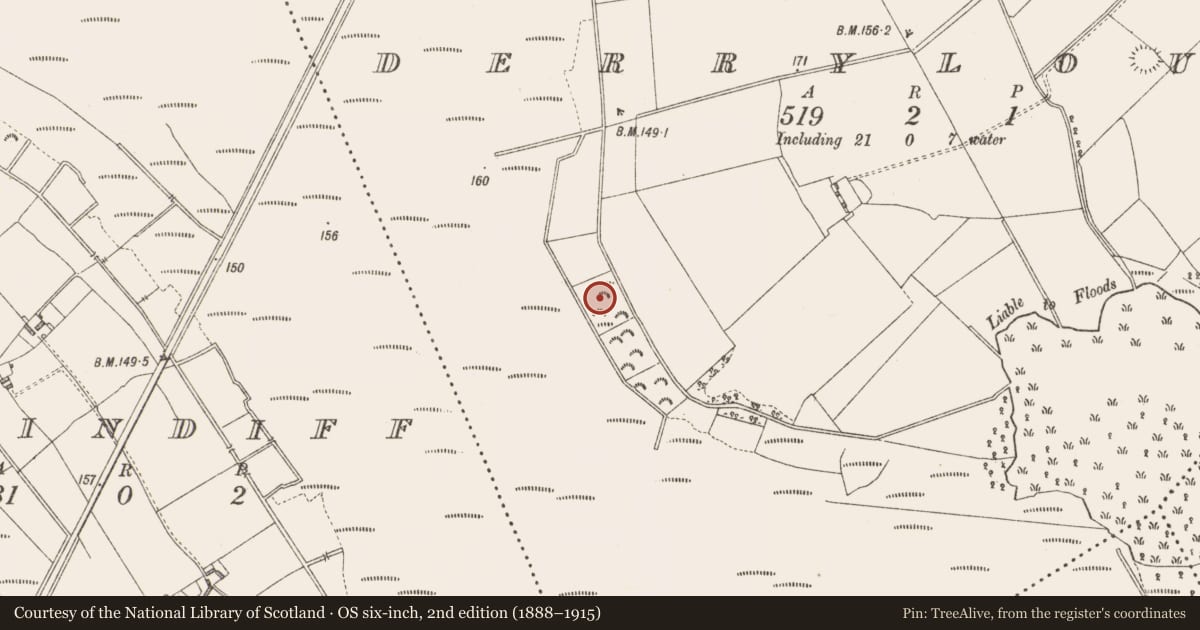 Ordnance Survey six-inch map, 2nd edition (1888–1915) covering the location of Structure - peatland, Derrylough, County Longford, with a pin at the register's coordinates