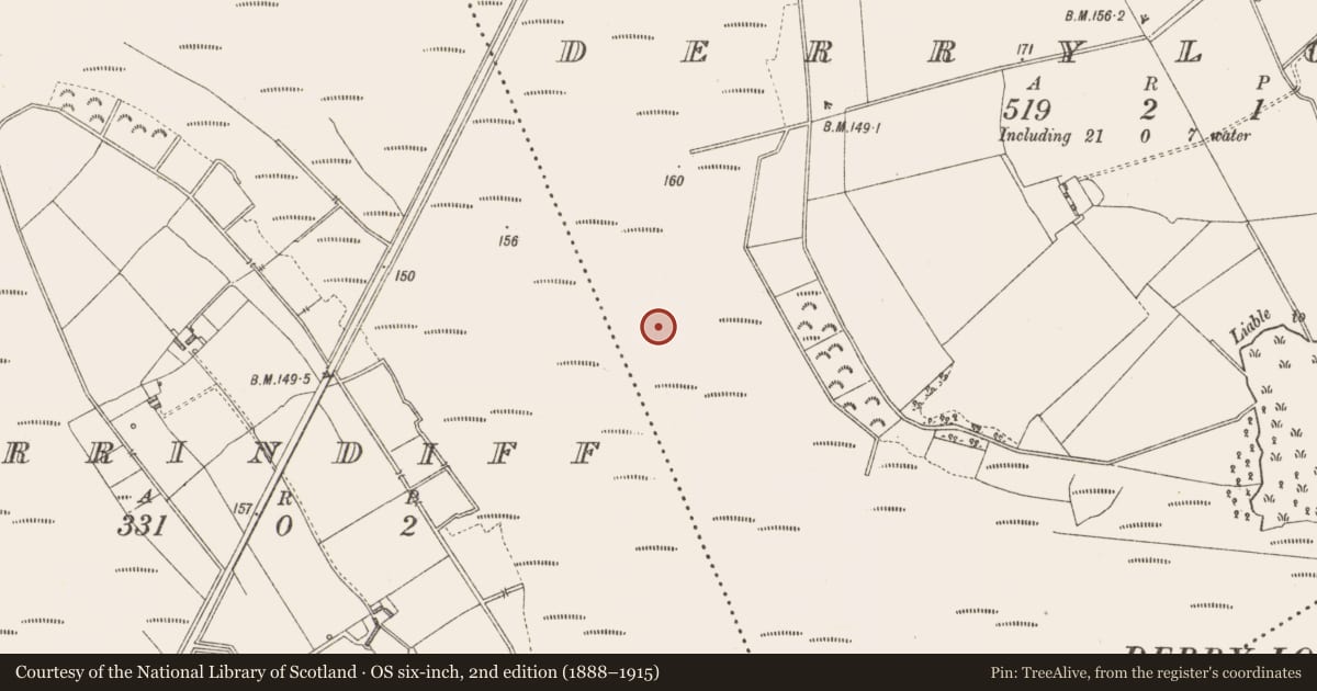Ordnance Survey six-inch map, 2nd edition (1888–1915) covering the location of Post row - peatland, Derrylough, County Longford, with a pin at the register's coordinates