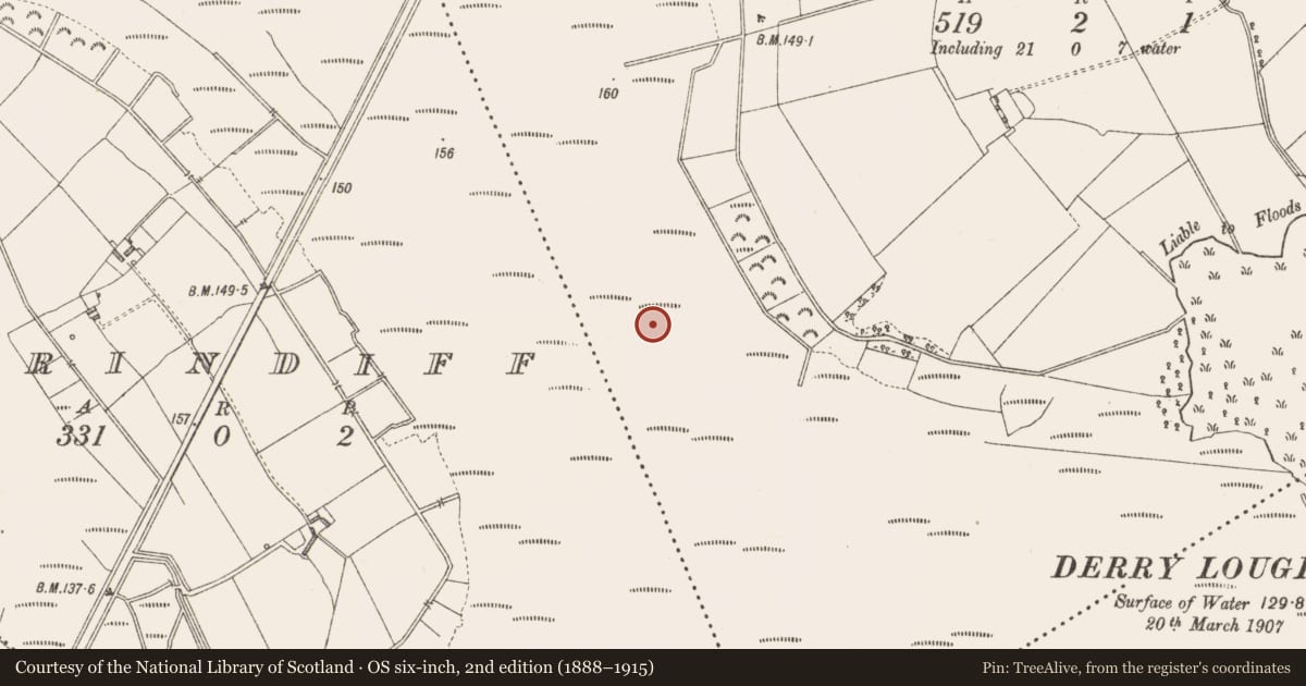 Ordnance Survey six-inch map, 2nd edition (1888–1915) covering the location of Platform - peatland, Derrylough, County Longford, with a pin at the register's coordinates