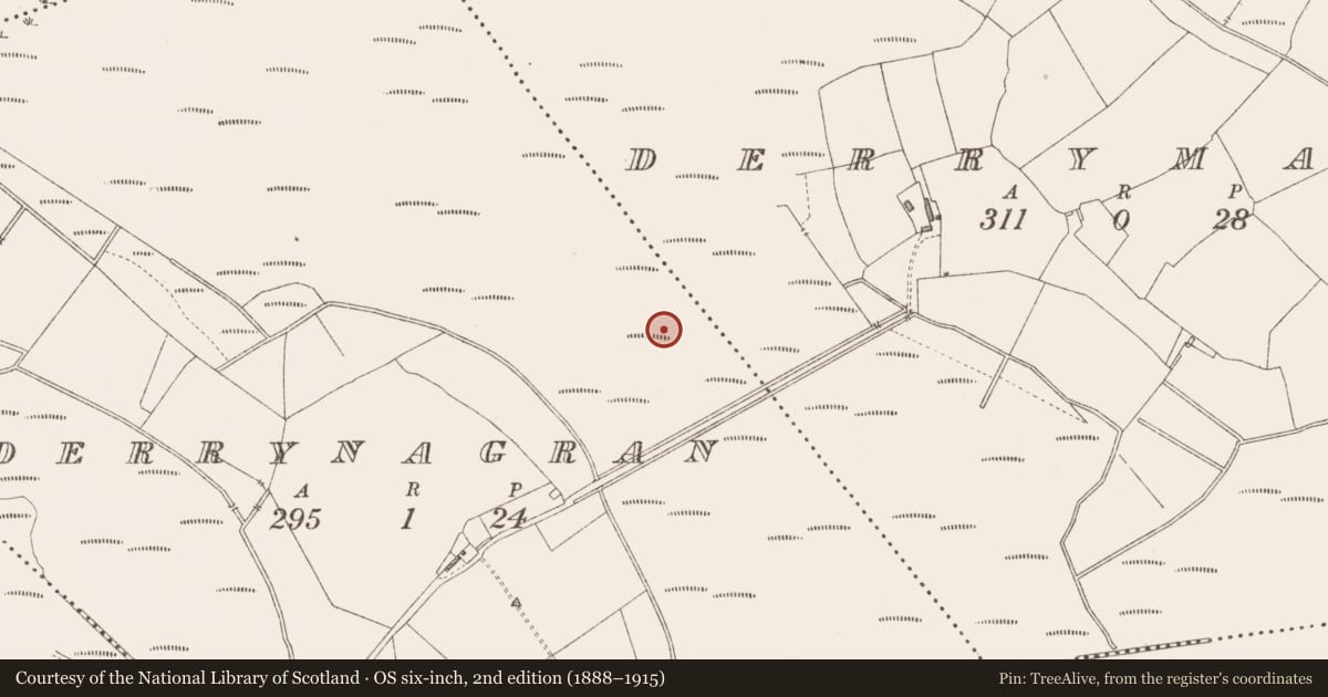 Ordnance Survey six-inch map, 2nd edition (1888–1915) covering the location of Structure - peatland, Derrymany, County Longford, with a pin at the register's coordinates