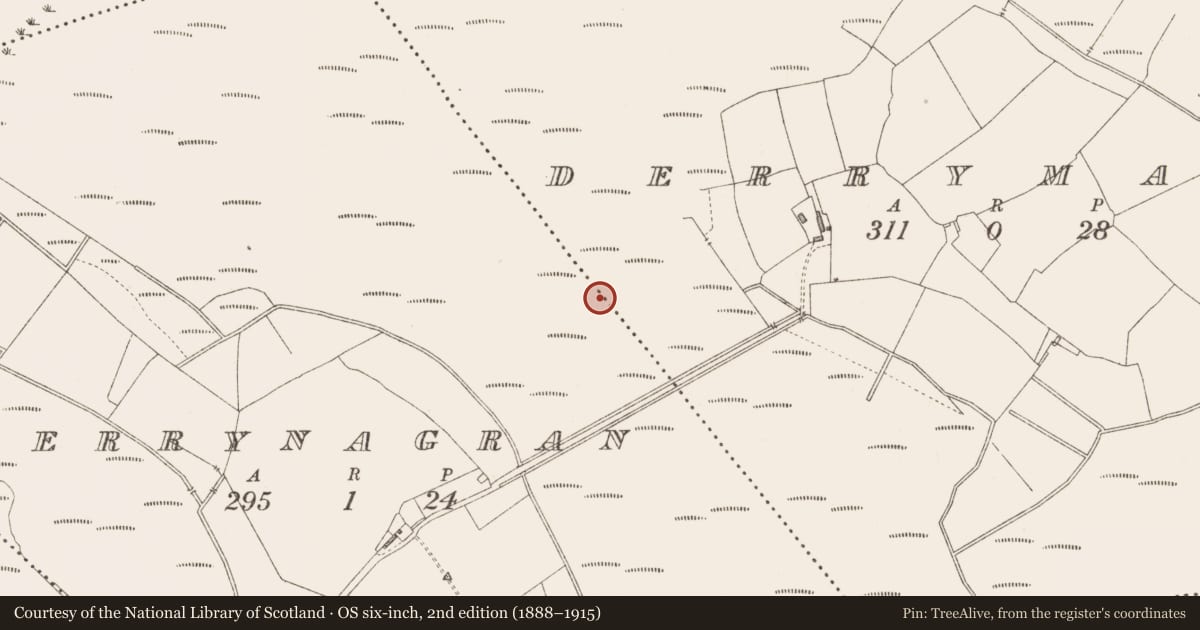 Ordnance Survey six-inch map, 2nd edition (1888–1915) covering the location of Road - class 1 togher, Derrymany, County Longford, with a pin at the register's coordinates