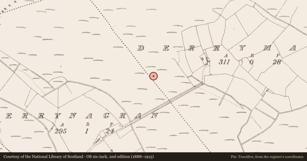 Ordnance Survey six-inch map, 2nd edition (1888–1915) covering the location of Platform - peatland, Derrymany, County Longford, with a pin at the register's coordinates