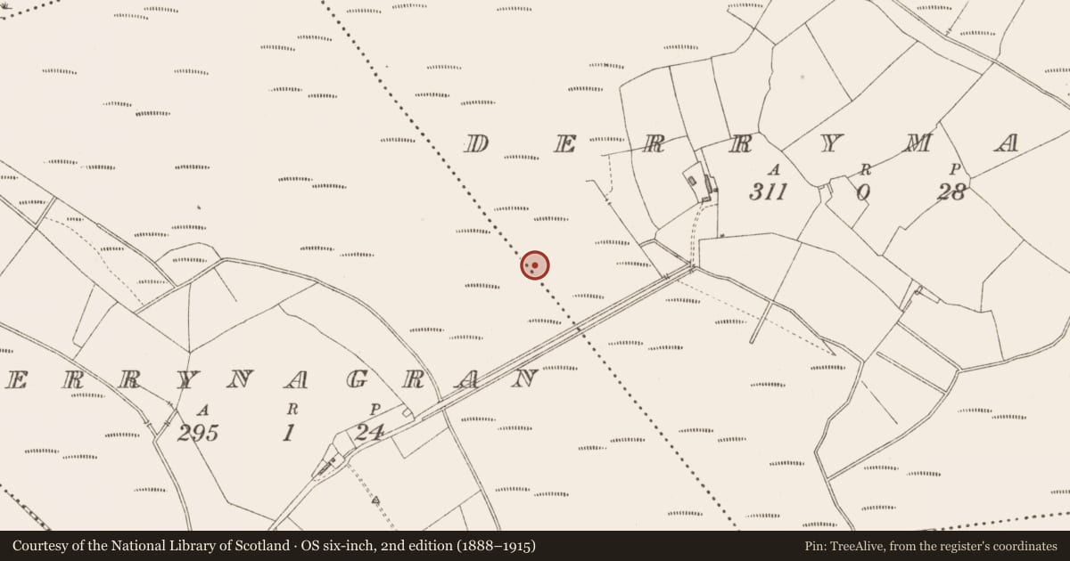 Ordnance Survey six-inch map, 2nd edition (1888–1915) covering the location of Road - unclassified togher, Derrymany, County Longford, with a pin at the register's coordinates