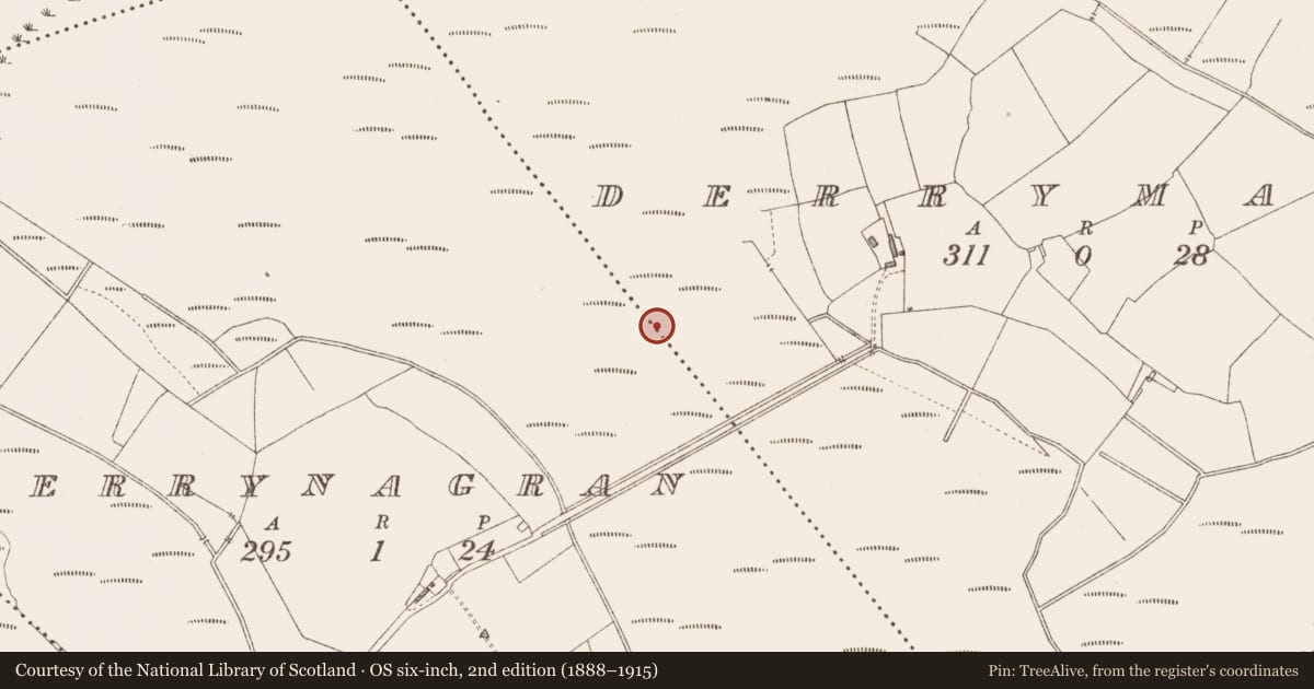 Ordnance Survey six-inch map, 2nd edition (1888–1915) covering the location of Platform - peatland, Derrymany, County Longford, with a pin at the register's coordinates