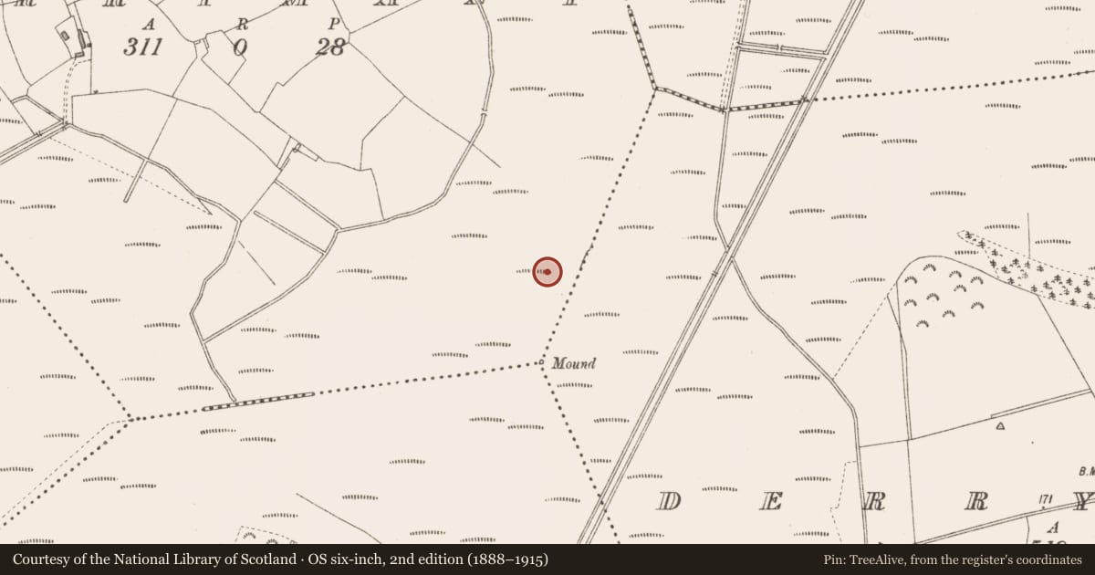 Ordnance Survey six-inch map, 2nd edition (1888–1915) covering the location of Platform - peatland, Derrymany, County Longford, with a pin at the register's coordinates