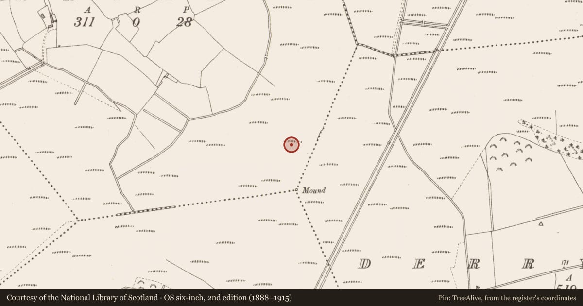 Ordnance Survey six-inch map, 2nd edition (1888–1915) covering the location of Road - unclassified togher, Derrymany, County Longford, with a pin at the register's coordinates