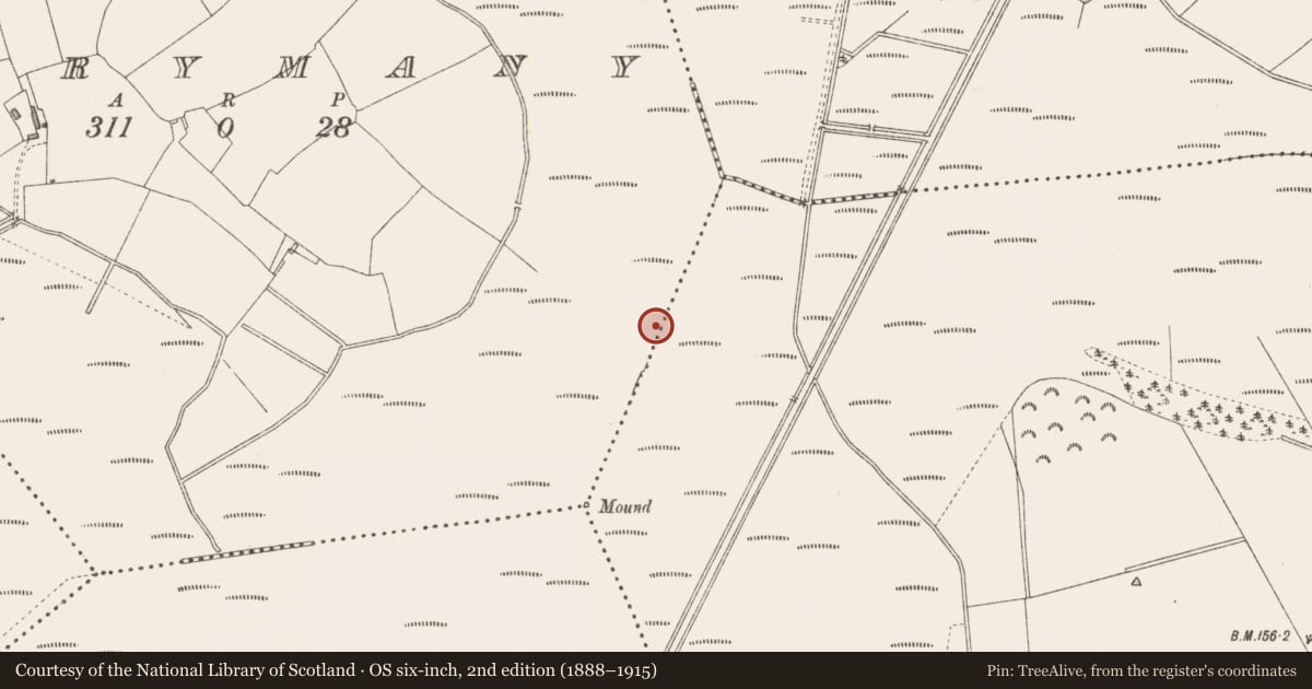 Ordnance Survey six-inch map, 2nd edition (1888–1915) covering the location of Road - gravel/stone trackway - peatland, Derrylough, Derrymany, County Longford, with a pin at the register's coordinates