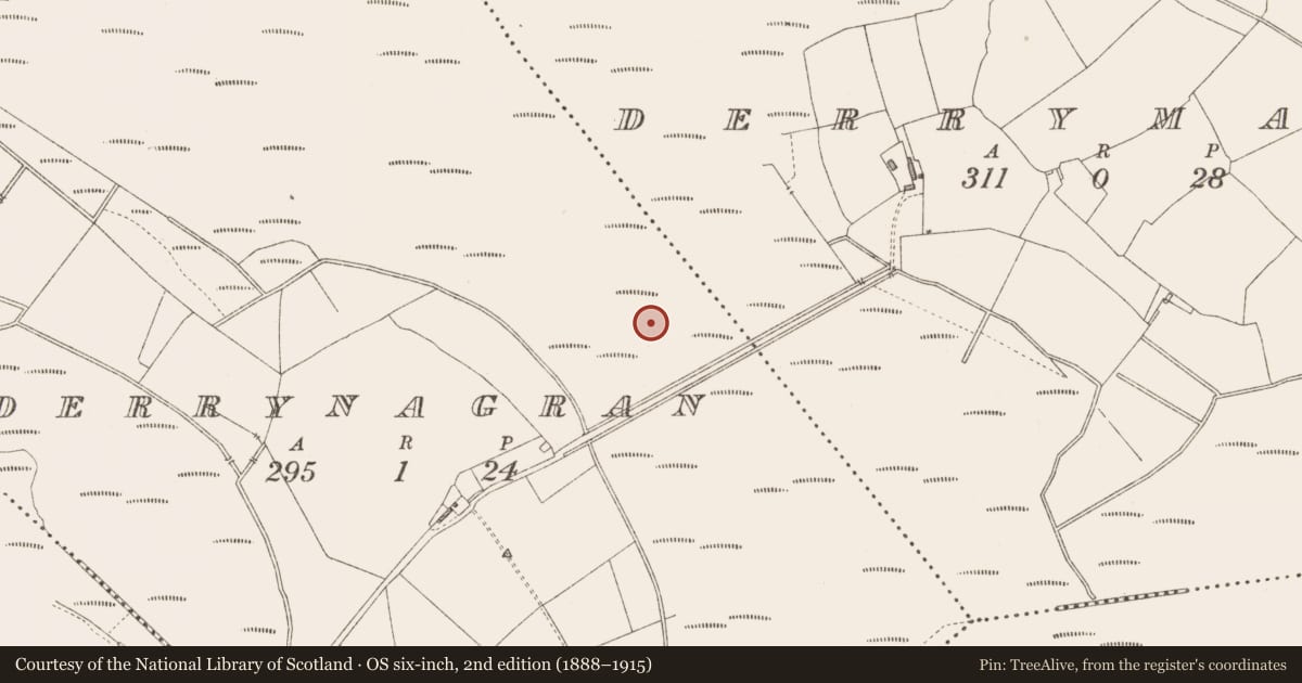 Ordnance Survey six-inch map, 2nd edition (1888–1915) covering the location of Platform - peatland, Derrynagran, County Longford, with a pin at the register's coordinates