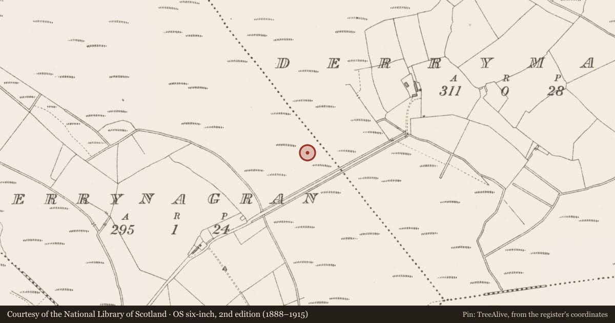 Ordnance Survey six-inch map, 2nd edition (1888–1915) covering the location of Platform - peatland, Derrynagran, County Longford, with a pin at the register's coordinates