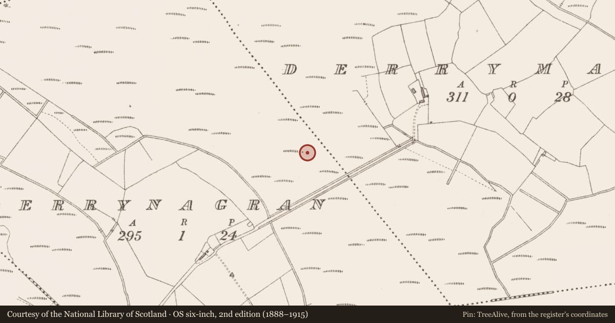 Ordnance Survey six-inch map, 2nd edition (1888–1915) covering the location of Platform - peatland, Derrynagran, County Longford, with a pin at the register's coordinates