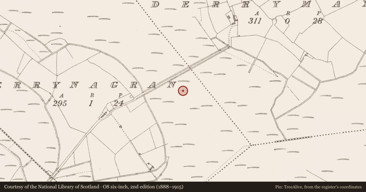 Ordnance Survey six-inch map, 2nd edition (1888–1915) covering the location of Platform - peatland, Derrynagran, County Longford, with a pin at the register's coordinates