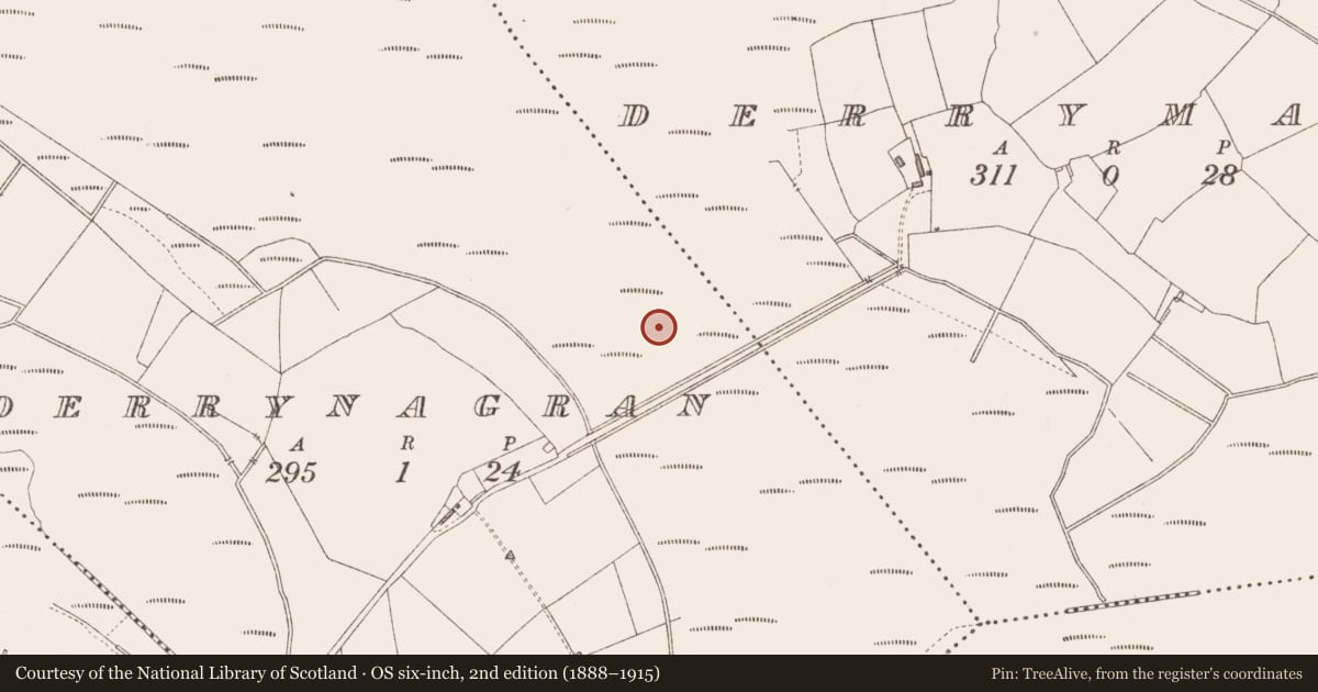 Ordnance Survey six-inch map, 2nd edition (1888–1915) covering the location of Platform - peatland, Derrynagran, County Longford, with a pin at the register's coordinates