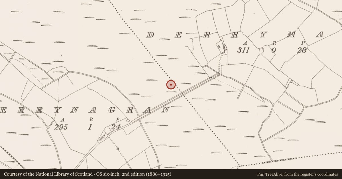 Ordnance Survey six-inch map, 2nd edition (1888–1915) covering the location of Platform - peatland, Derrynagran, County Longford, with a pin at the register's coordinates