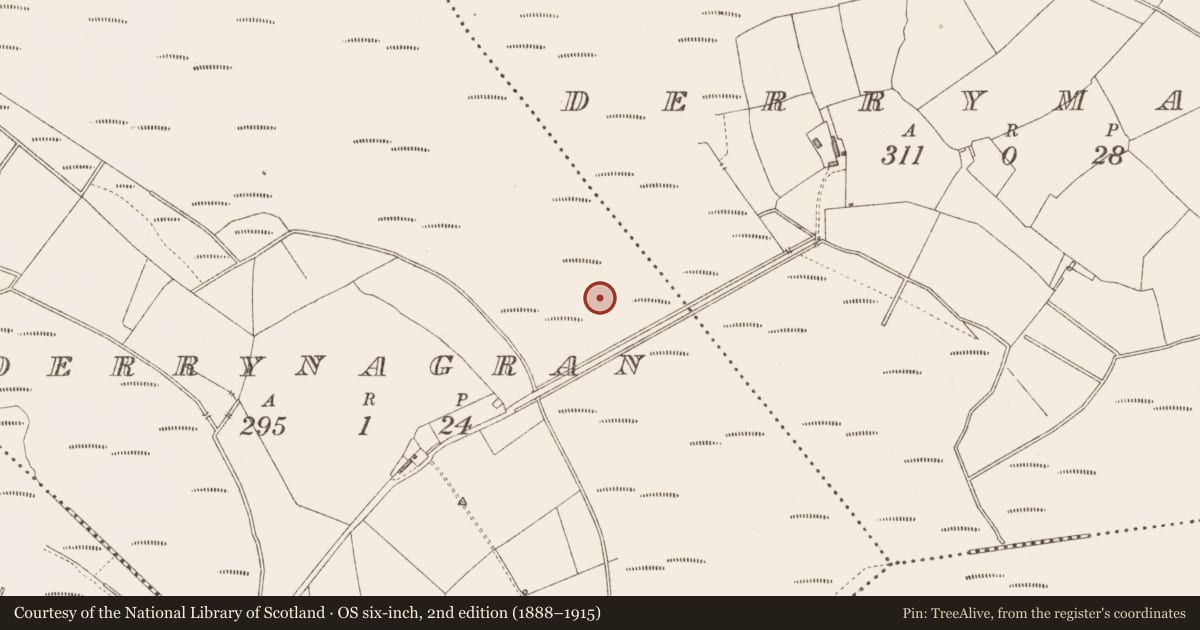 Ordnance Survey six-inch map, 2nd edition (1888–1915) covering the location of Road - class 3 togher, Derrynagran, County Longford, with a pin at the register's coordinates