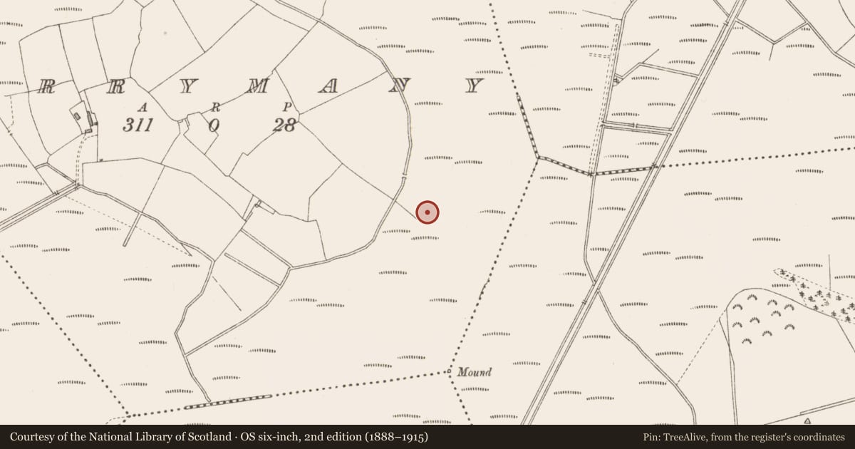 Ordnance Survey six-inch map, 2nd edition (1888–1915) covering the location of Road - unclassified togher, Derrynagran, County Longford, with a pin at the register's coordinates