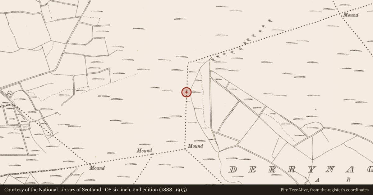 Ordnance Survey six-inch map, 2nd edition (1888–1915) covering the location of Platform - peatland, Derrynagran, County Longford, with a pin at the register's coordinates