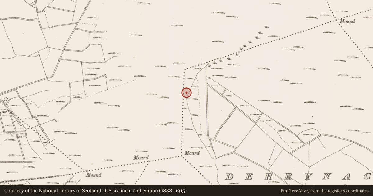 Ordnance Survey six-inch map, 2nd edition (1888–1915) covering the location of Platform - peatland, Derrynagran, County Longford, with a pin at the register's coordinates