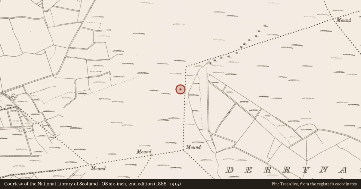 Ordnance Survey six-inch map, 2nd edition (1888–1915) covering the location of Platform - peatland, Derrygowna, County Longford, with a pin at the register's coordinates