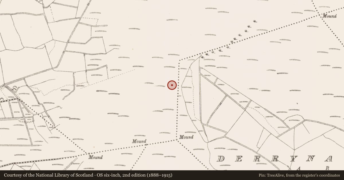 Ordnance Survey six-inch map, 2nd edition (1888–1915) covering the location of Platform - peatland, Derrygowna, County Longford, with a pin at the register's coordinates