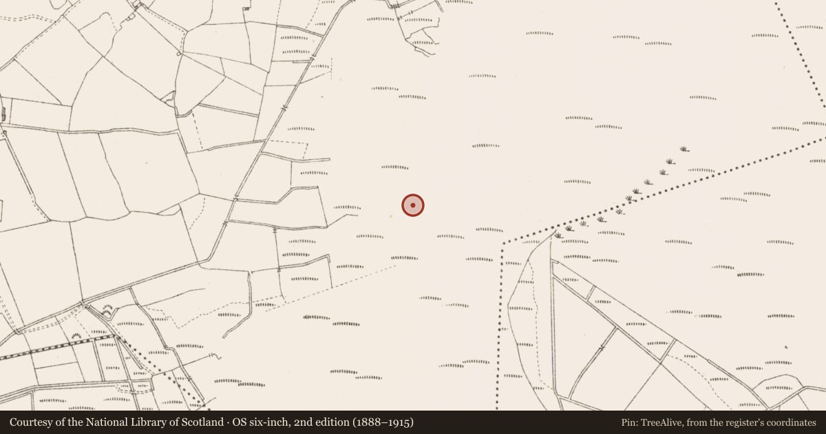 Ordnance Survey six-inch map, 2nd edition (1888–1915) covering the location of Road - unclassified togher, Derrygowna, County Longford, with a pin at the register's coordinates