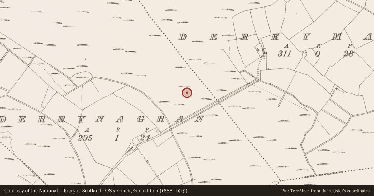 Ordnance Survey six-inch map, 2nd edition (1888–1915) covering the location of Platform - peatland, Derrynagran, County Longford, with a pin at the register's coordinates