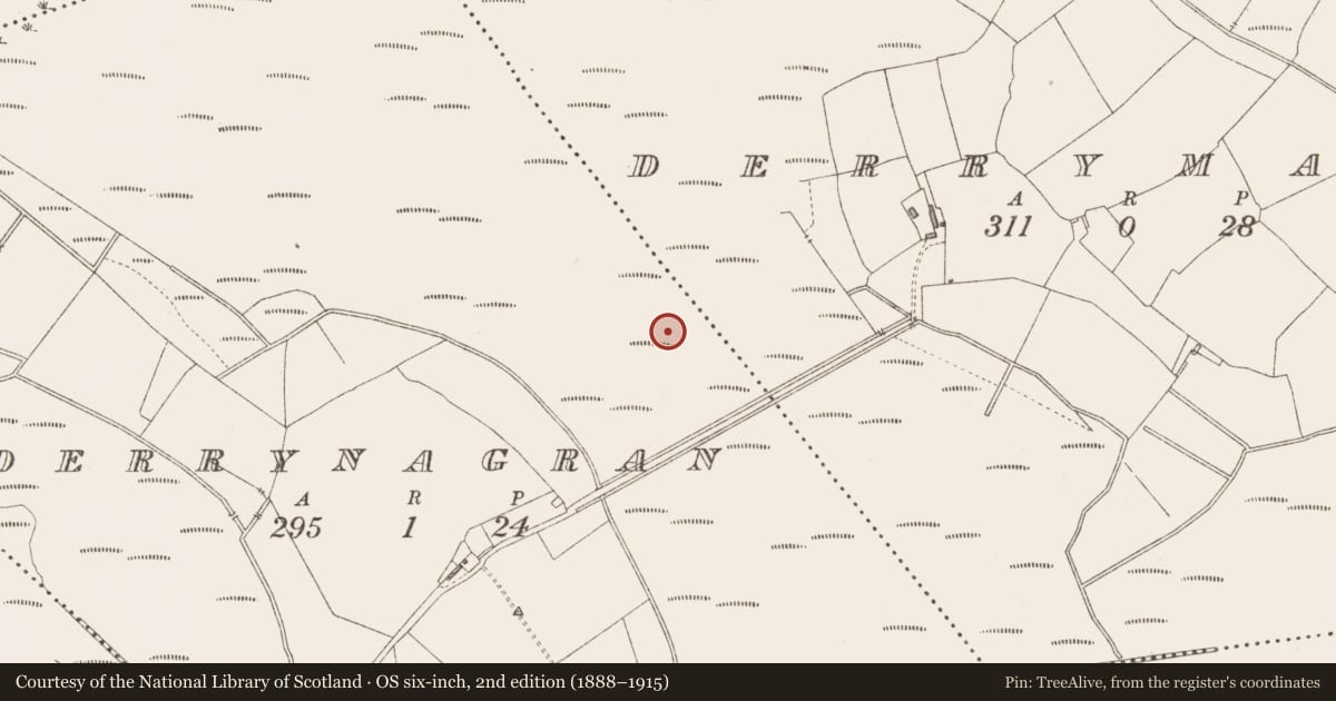 Ordnance Survey six-inch map, 2nd edition (1888–1915) covering the location of Road - class 1 togher, Derrynagran, County Longford, with a pin at the register's coordinates