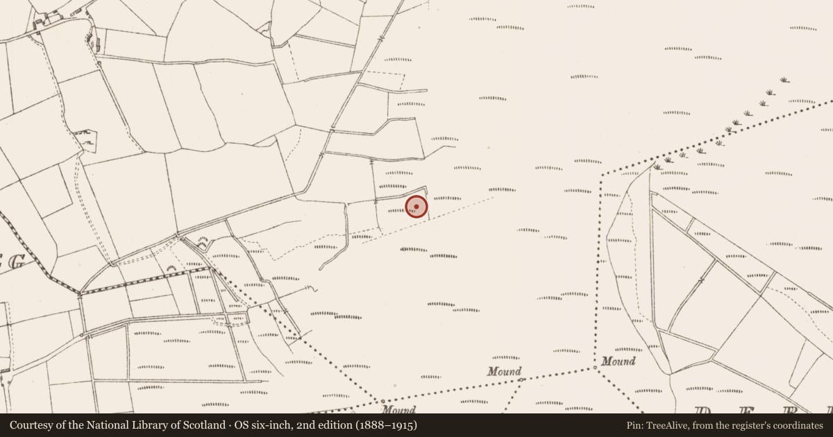 Ordnance Survey six-inch map, 2nd edition (1888–1915) covering the location of Road - class 3 togher, Derrygowna, County Longford, with a pin at the register's coordinates