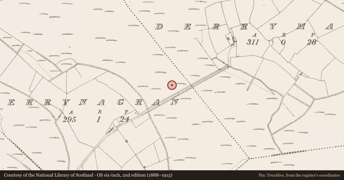 Ordnance Survey six-inch map, 2nd edition (1888–1915) covering the location of Road - class 2 togher, Derrynagran, County Longford, with a pin at the register's coordinates