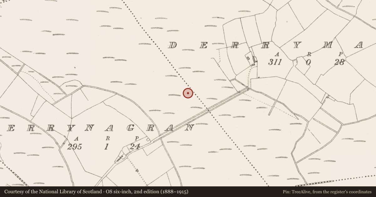 Ordnance Survey six-inch map, 2nd edition (1888–1915) covering the location of Platform - peatland, Derrynagran, County Longford, with a pin at the register's coordinates