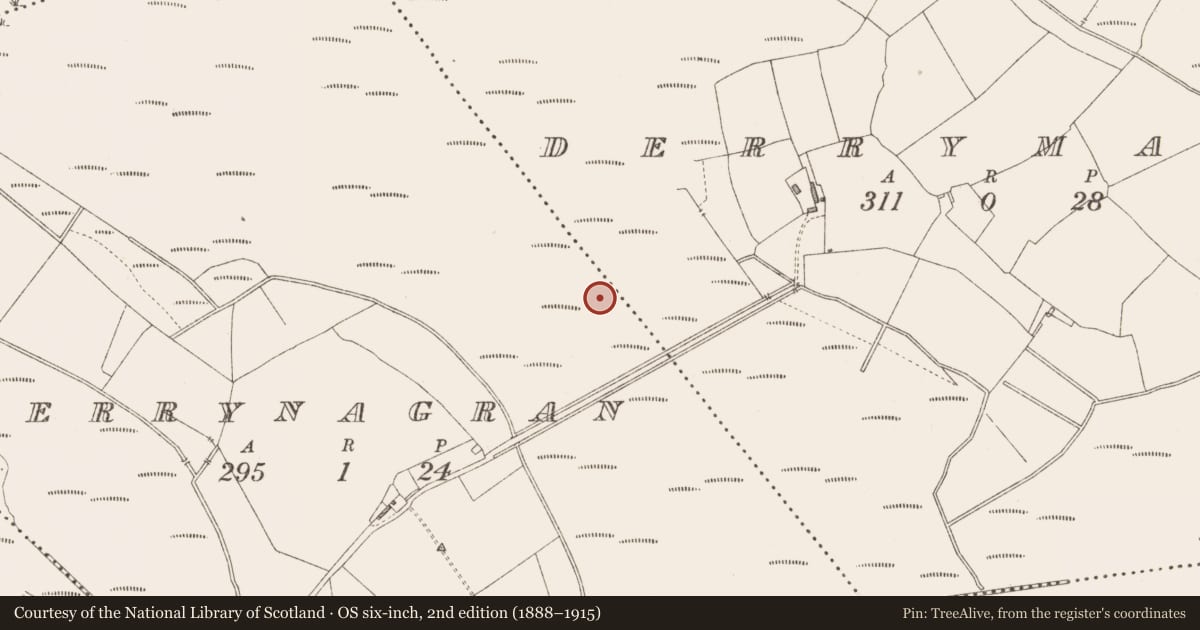Ordnance Survey six-inch map, 2nd edition (1888–1915) covering the location of Structure - peatland, Derrynagran, County Longford, with a pin at the register's coordinates