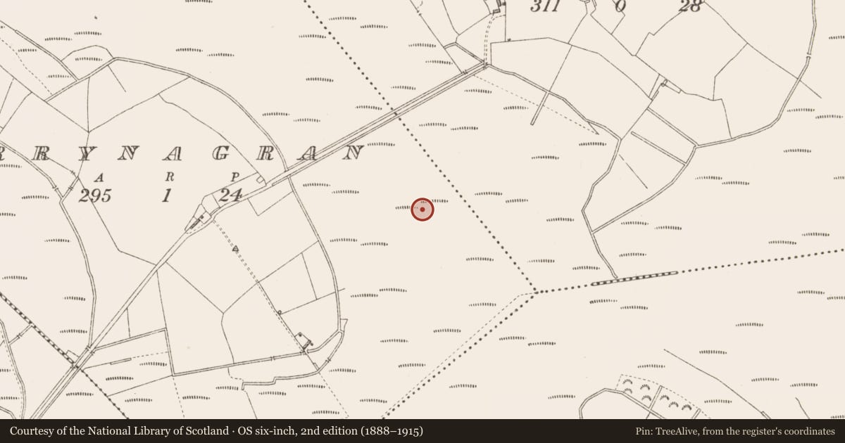 Ordnance Survey six-inch map, 2nd edition (1888–1915) covering the location of Road - unclassified togher, Derrynagran, County Longford, with a pin at the register's coordinates