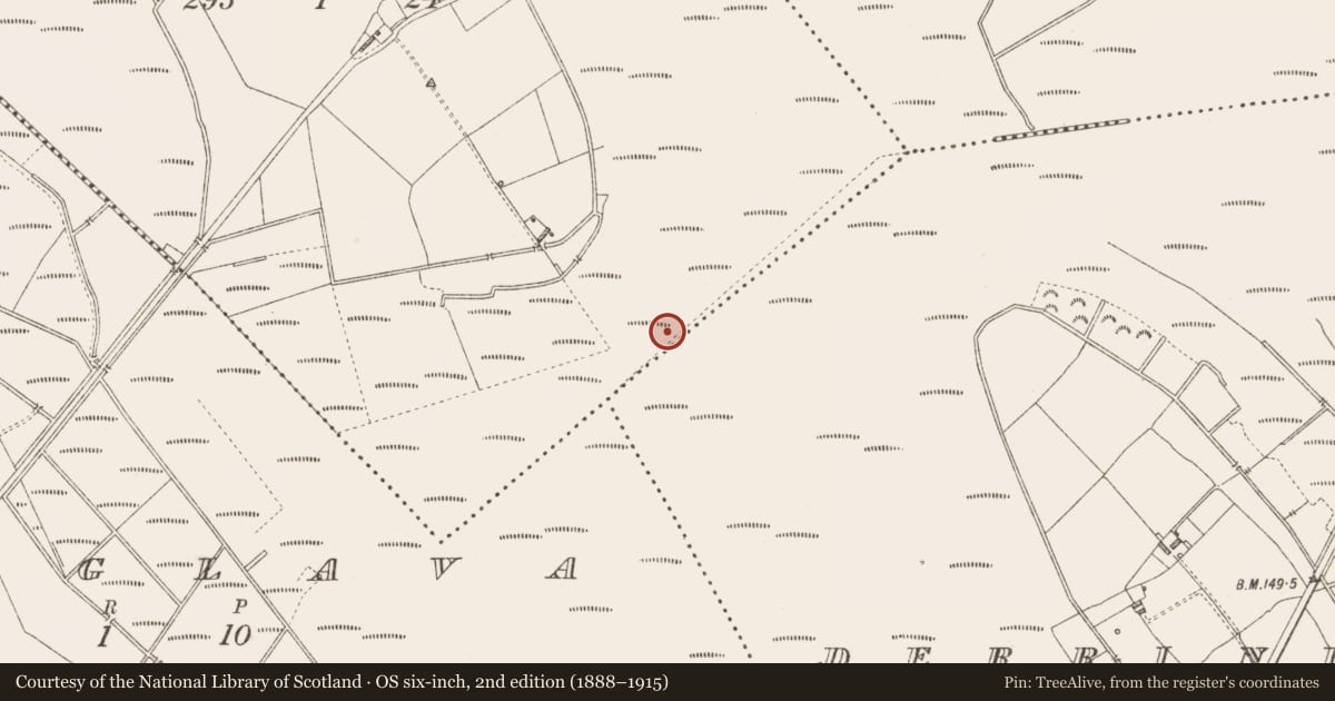 Ordnance Survey six-inch map, 2nd edition (1888–1915) covering the location of Platform - peatland, Derrynagran, County Longford, with a pin at the register's coordinates