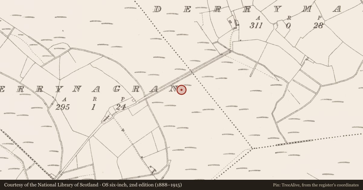 Ordnance Survey six-inch map, 2nd edition (1888–1915) covering the location of Platform - peatland, Derrynagran, County Longford, with a pin at the register's coordinates