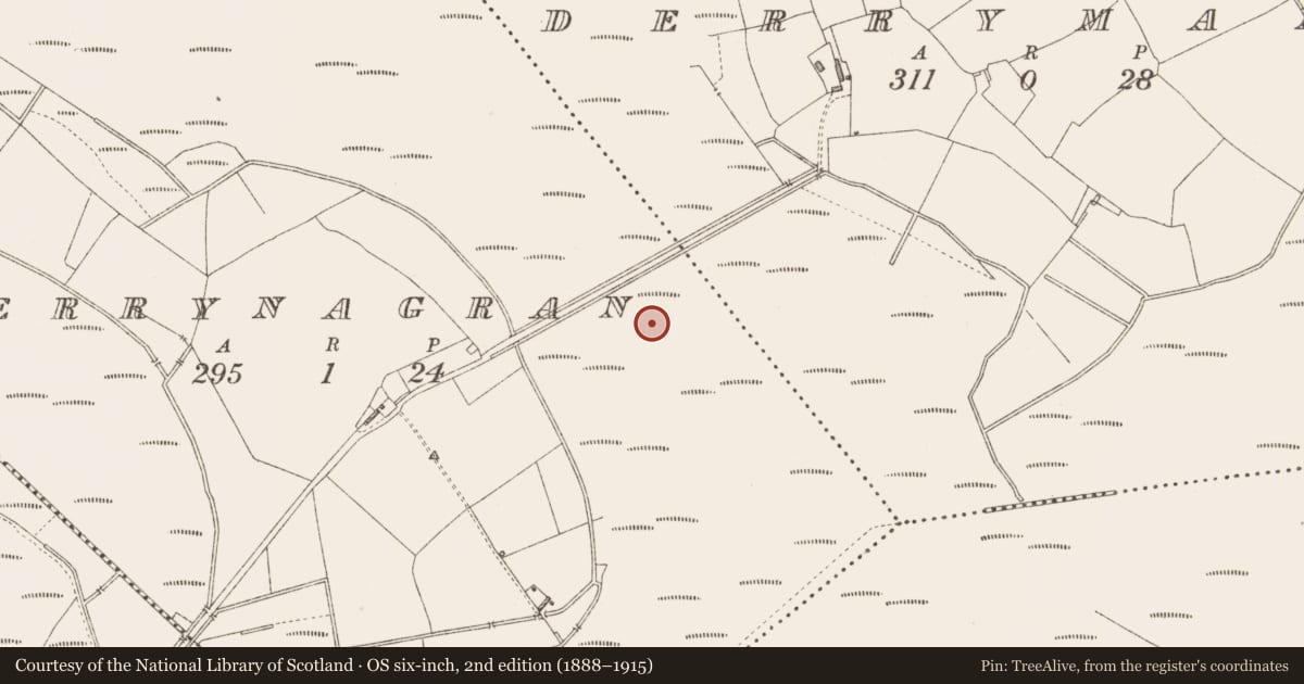 Ordnance Survey six-inch map, 2nd edition (1888–1915) covering the location of Platform - peatland, Derrynagran, County Longford, with a pin at the register's coordinates
