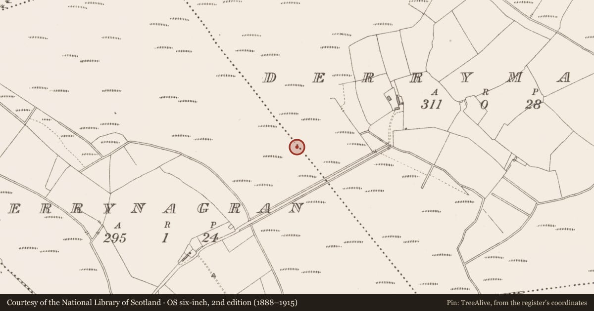 Ordnance Survey six-inch map, 2nd edition (1888–1915) covering the location of Platform - peatland, Derrynagran, County Longford, with a pin at the register's coordinates