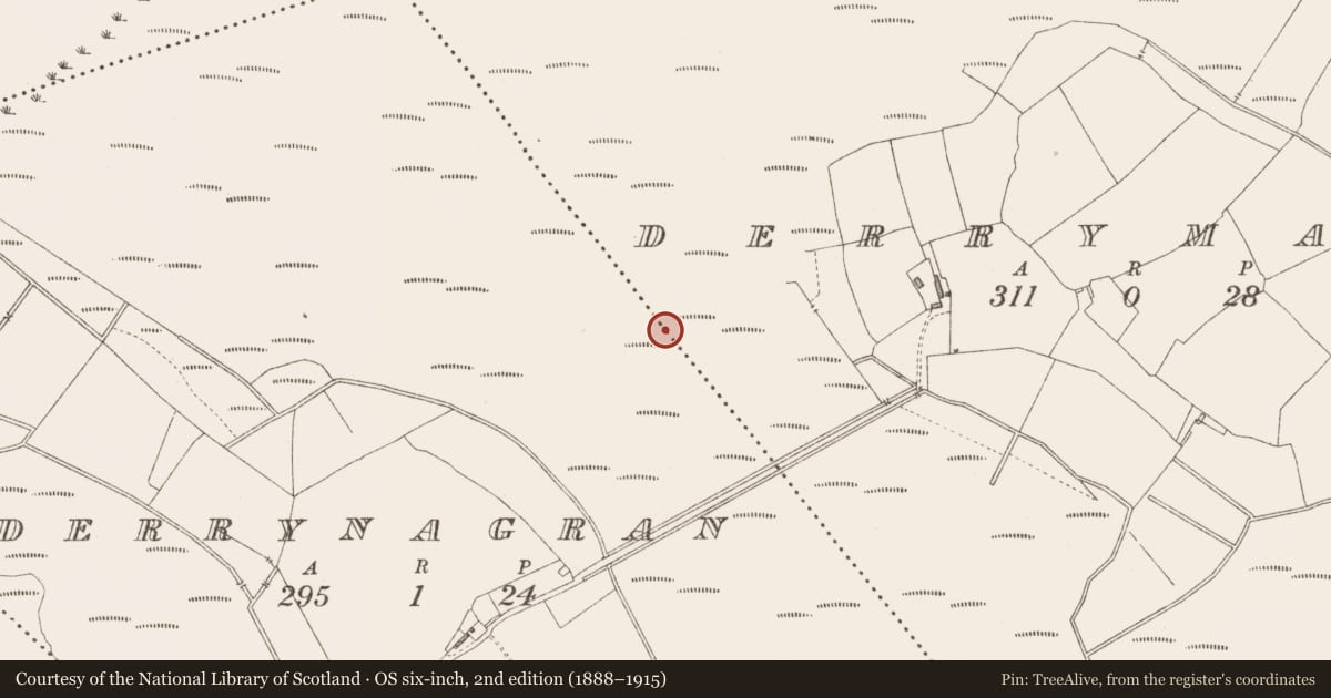 Ordnance Survey six-inch map, 2nd edition (1888–1915) covering the location of Platform - peatland, Derrynagran, County Longford, with a pin at the register's coordinates