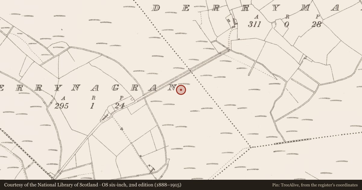 Ordnance Survey six-inch map, 2nd edition (1888–1915) covering the location of Platform - peatland, Derrynagran, County Longford, with a pin at the register's coordinates