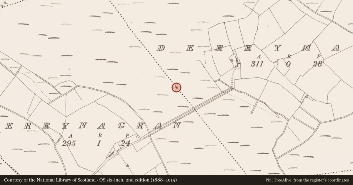 Ordnance Survey six-inch map, 2nd edition (1888–1915) covering the location of Platform - peatland, Derrymany, Derrynagran, County Longford, with a pin at the register's coordinates