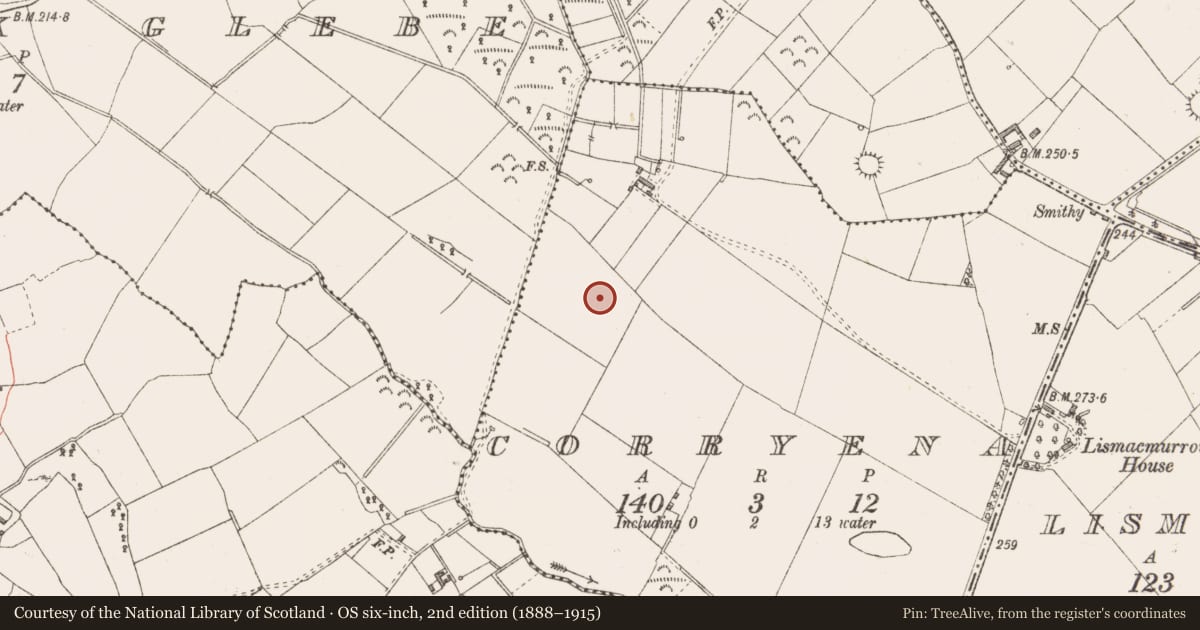 Ordnance Survey six-inch map, 2nd edition (1888–1915) covering the location of Enclosure - large enclosure, Corryena, County Longford, with a pin at the register's coordinates