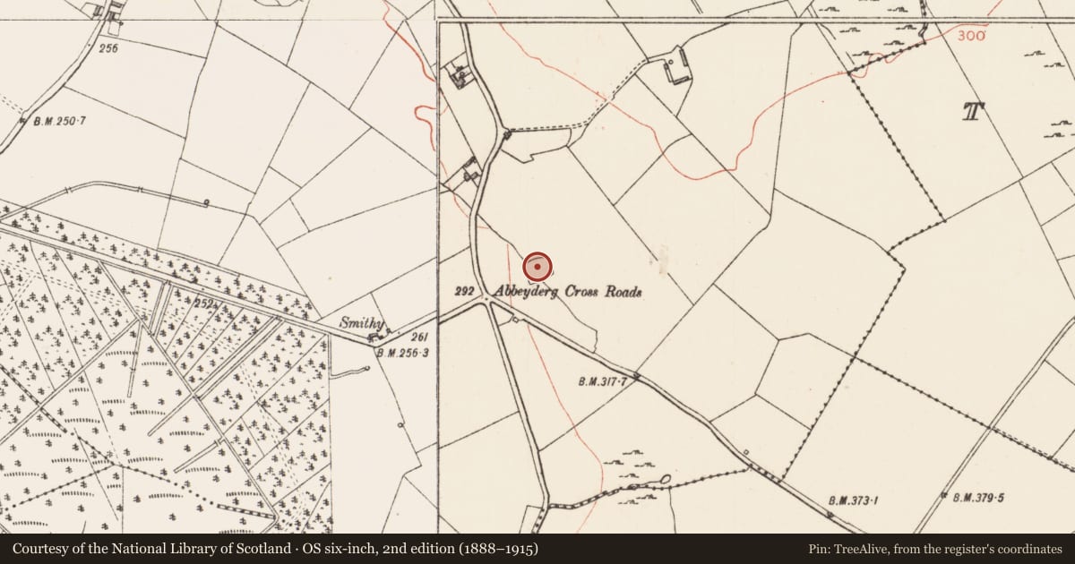 Ordnance Survey six-inch map, 2nd edition (1888–1915) covering the location of Ringfort - rath, Abbeyderg, County Longford, with a pin at the register's coordinates
