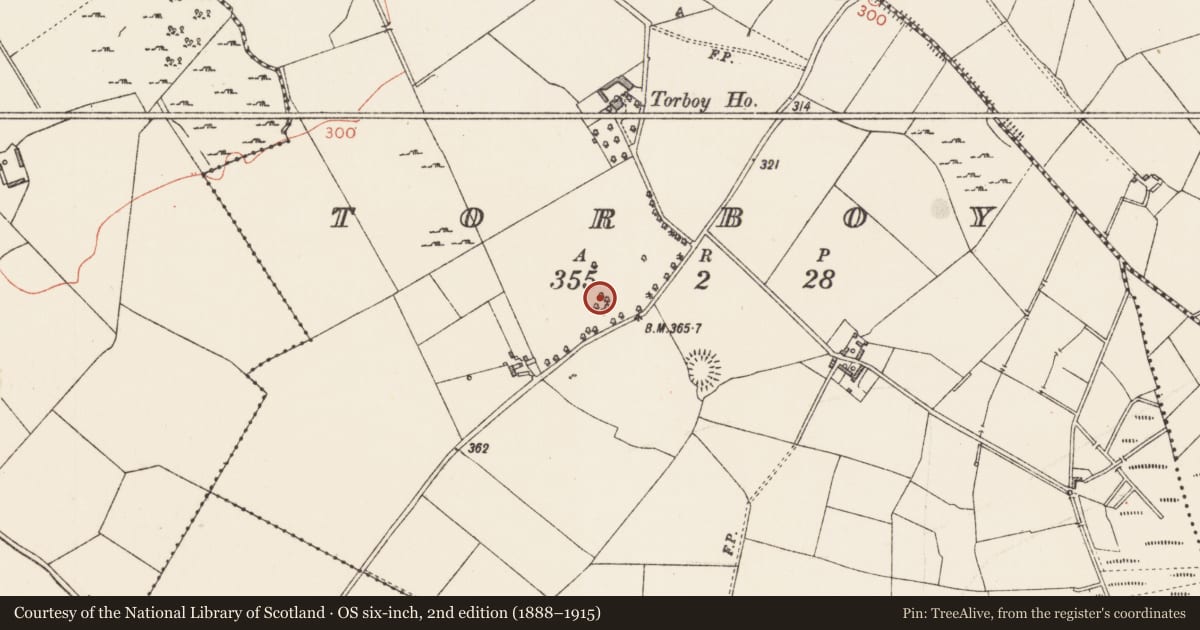 Ordnance Survey six-inch map, 2nd edition (1888–1915) covering the location of Ringfort - rath, Torboy, County Longford, with a pin at the register's coordinates
