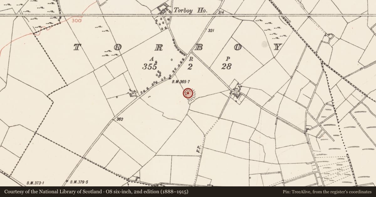 Ordnance Survey six-inch map, 2nd edition (1888–1915) covering the location of Ringfort - rath, Torboy, County Longford, with a pin at the register's coordinates