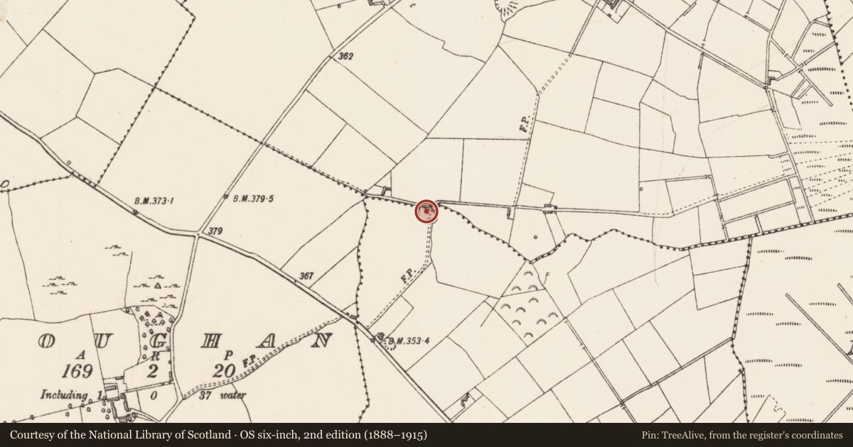 Ordnance Survey six-inch map, 2nd edition (1888–1915) covering the location of Ringfort - rath, Currycreaghan, Torboy, County Longford, with a pin at the register's coordinates