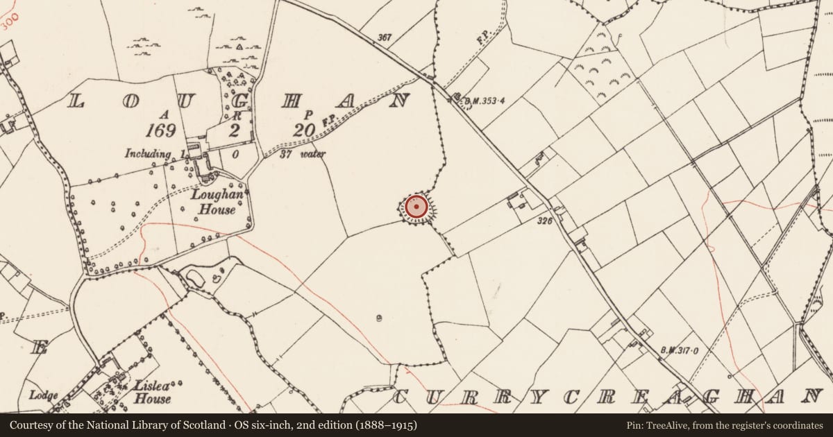 Ordnance Survey six-inch map, 2nd edition (1888–1915) covering the location of Ringfort - rath, Currycreaghan, Loughan, County Longford, with a pin at the register's coordinates