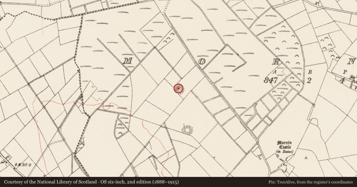 Ordnance Survey six-inch map, 2nd edition (1888–1915) covering the location of Ringfort - rath, Mornin, County Longford, with a pin at the register's coordinates