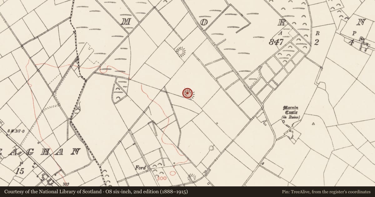 Ordnance Survey six-inch map, 2nd edition (1888–1915) covering the location of Ringfort - rath, Mornin, County Longford, with a pin at the register's coordinates