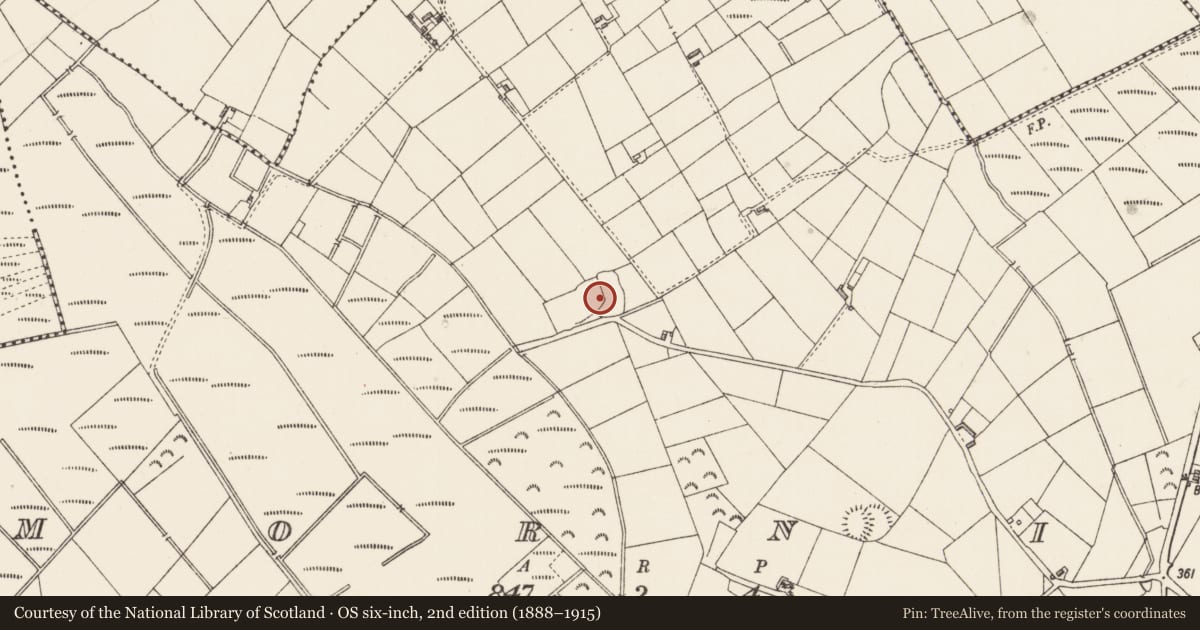 Ordnance Survey six-inch map, 2nd edition (1888–1915) covering the location of Ringfort - rath, Mornin, County Longford, with a pin at the register's coordinates